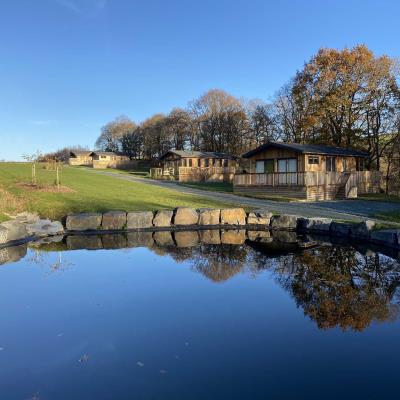 Penybanc Woods - Holiday Lodges Llanidloes Networking Wales